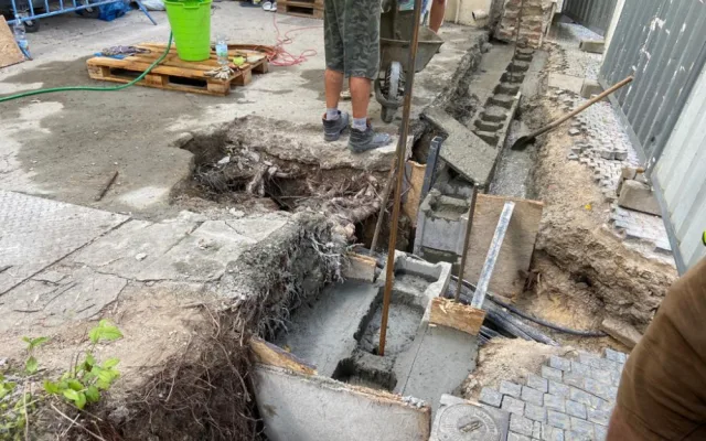 Praha obnovila narušenou zeď v centru města bez nutnosti pokácet jedinečný strom