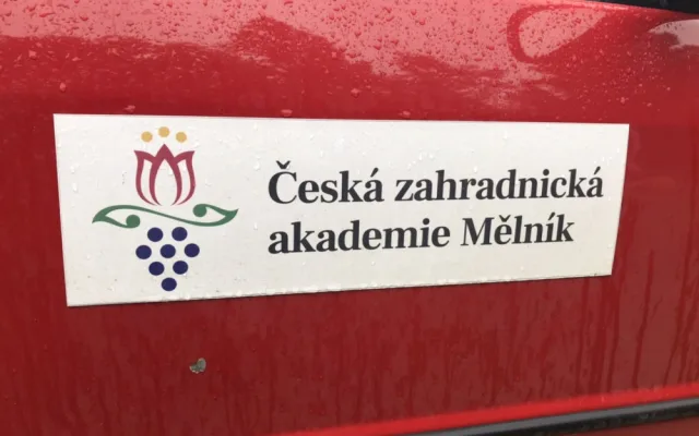 Největší česká dýně je v Praze. Lidé ji mohou vidět v rámci výstavy v botanické zahradě
