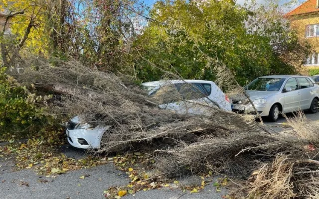 Silný vítr v Praze. Zlomené stromy, uzavřená botanická zahrada a zpoždění vlaků