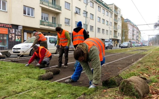 Praha je součástí vědeckého experimentu. Dopravní podnik testuje speciální travní koberce