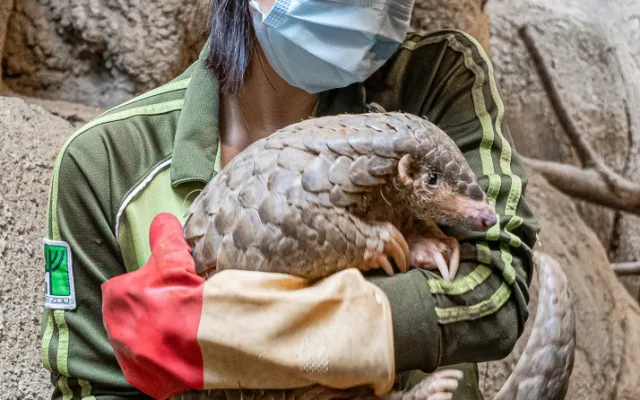 Taipei Zoo