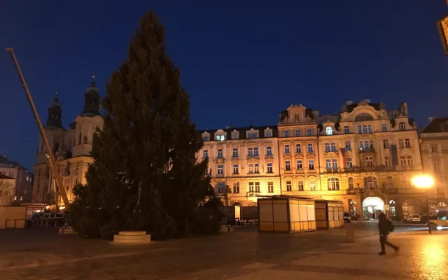Vánoční strom pro Prahu už stojí na Staroměstském náměstí. Podívejte se