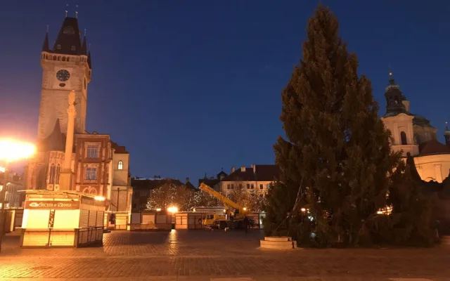 Vánoční strom pro Prahu už stojí na Staroměstském náměstí. Podívejte se