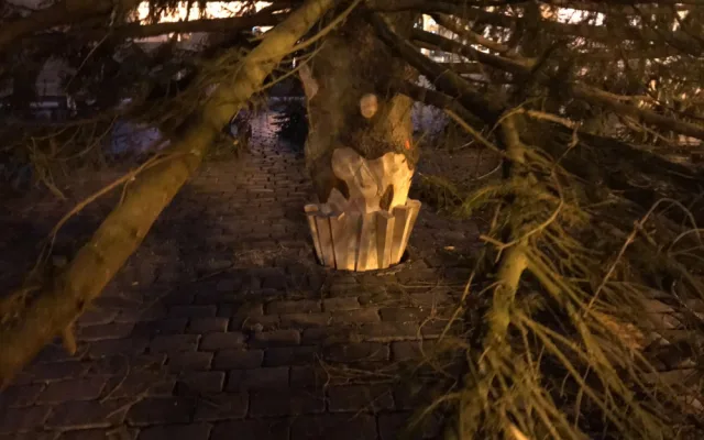 Vánoční strom pro Prahu už stojí na Staroměstském náměstí. Podívejte se