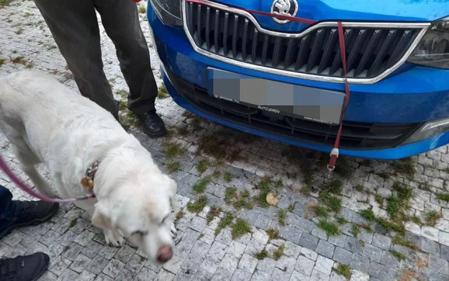 Pejskařka v nesnázích. Vodítko zasekunuté pod kapotou auta museli vyprostit strážníci