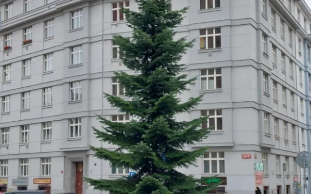 VÁNOCE NA SEDMIČCE: Dva vánoční stromy, bruslení na Letné a charitativní projekty