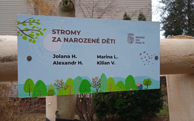 Desítka vysadila 63 stromů za své nové občánky. Milá tradice u dětí buduje vztah k přírodě