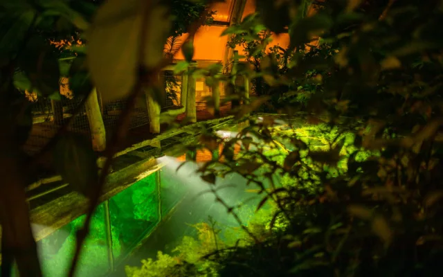 Džungle, která nespí. Vyrazte s dětmi do botanické zahrady za pořádným dobrodružstvím