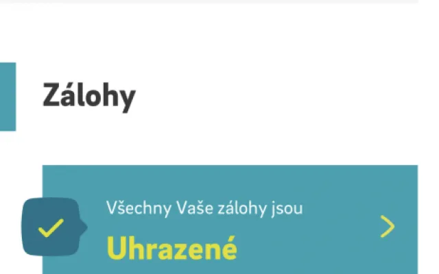 Pandemie covidu urychlila digitalizaci, říká vedoucí týmu Digital společnosti E.ON