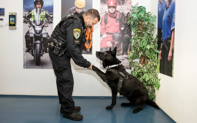 Zemřel policejní pes Merlin, který zachránil muže před sebevraždou