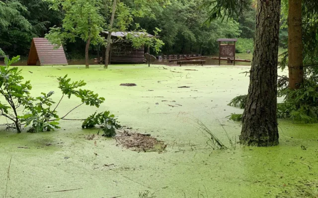 VIDEO: Meteorologové zaznamenali extrémní srážky. V Praze byl překročen třetí povodňový stupeň