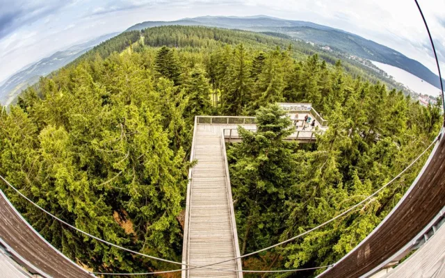 Stezka korunami stromů Lipno slaví první kulatiny. Oslavte je společně s ní i Monikou Absolonovou!