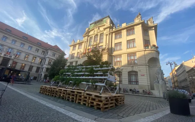 Hydroponie je ideální způsob, jak dostat zeleň do města