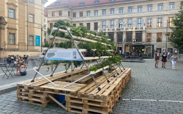 Hydroponie je ideální způsob, jak dostat zeleň do města