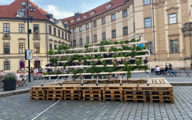 Hydroponie je ideální způsob, jak dostat zeleň do města