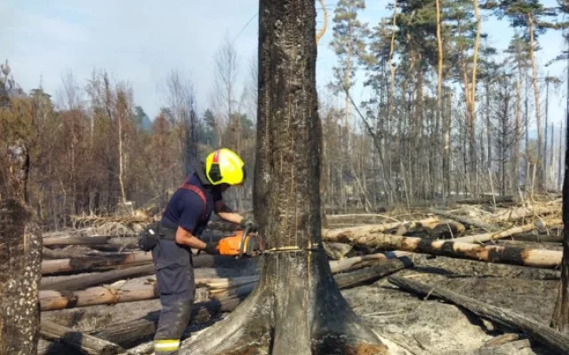 VIDEO: V Hřensku pomáhá padesátka hasičů z Prahy. Do nepřístupných míst nosí vodu na zádech