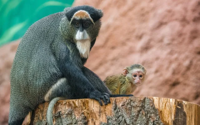 Zoo Praha