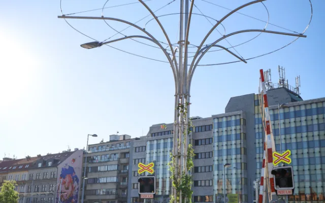 Šestka instalovala zelené lampy. Inspirovala se v Singapuru