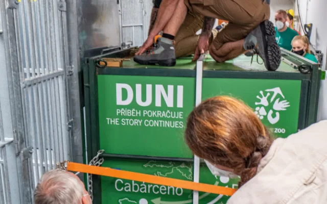 V pražské zoo už je Mojina dcera Duni. Přiletěla vojenským letounem