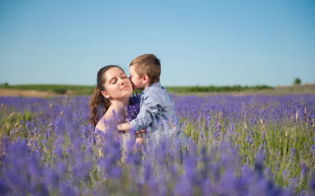 České Provence. Blahodárné účinky levandulí poznávají tisíce návštěvníků areálu kousek za Prahou