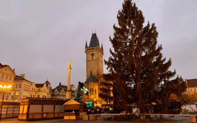 VIDEO: Na Staroměstském náměstí v Praze už stojí vánoční strom