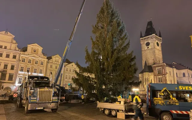 VIDEO: Na Staroměstském náměstí v Praze už stojí vánoční strom