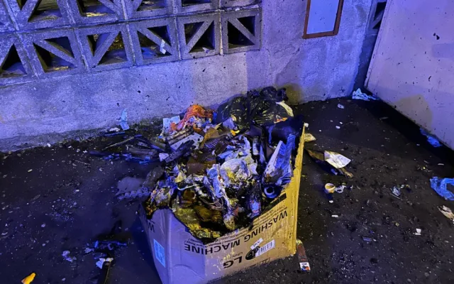 Přes padesát požárů, osmdesát zranění, pět set hovorů na tísňovou linku. To je účet silvestrovských oslav v Praze