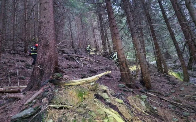VIDEO: Po matce se synem z Prahy pátrají už čtvrtý den, hledá je 150 lidí