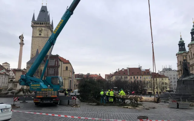 VIDEO: Pražský vánoční strom šel k zemi. Budou z něj