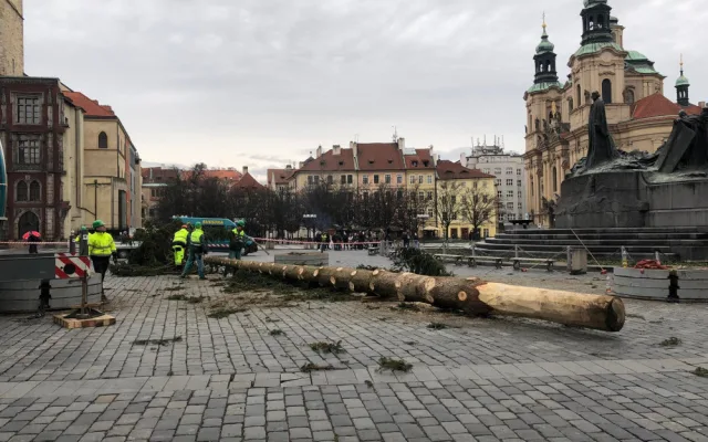 VIDEO: Pražský vánoční strom šel k zemi. Budou z něj