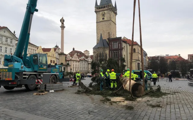 VIDEO: Pražský vánoční strom šel k zemi. Budou z něj