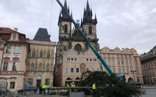 VIDEO: Pražský vánoční strom šel k zemi. Budou z něj