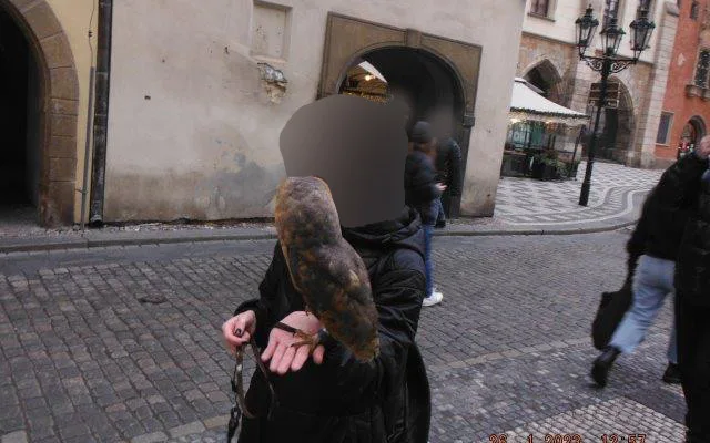 Strážníci zachránili sovy pálené před týráním. Podvodníci vybírají peníze za fotky se zvířaty