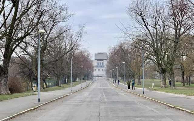 Na Vítkově jde k zemi přes sedmdesát stromů. Na jaře má začít revitalizace
