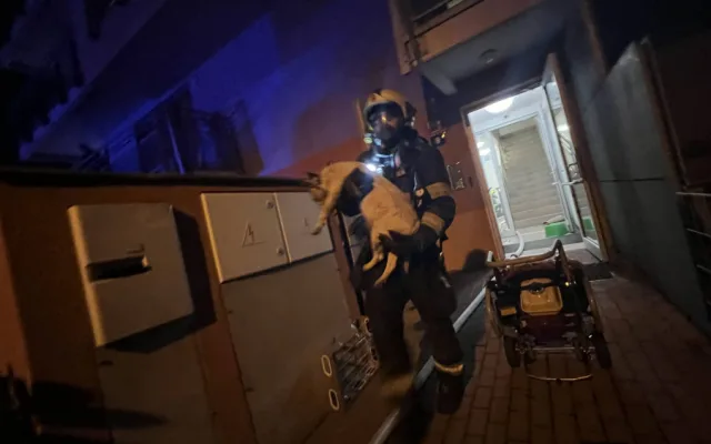 VIDEO: Při požáru v Praze zemřeli dva psi, hasiči jim dávali první pomoc