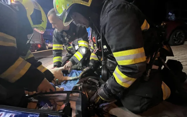 VIDEO: Při požáru v Praze zemřeli dva psi, hasiči jim dávali první pomoc