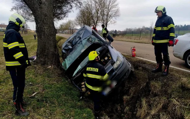 Problémová pejskařka z Prahy havarovala na jihu Čech. Čtrnáct psů se rozuteklo do luk, jeden po nehodě zahynul