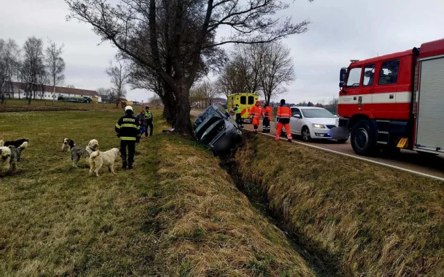 Problémová pejskařka z Prahy havarovala na jihu Čech. Čtrnáct psů se rozuteklo do luk, jeden po nehodě zahynul