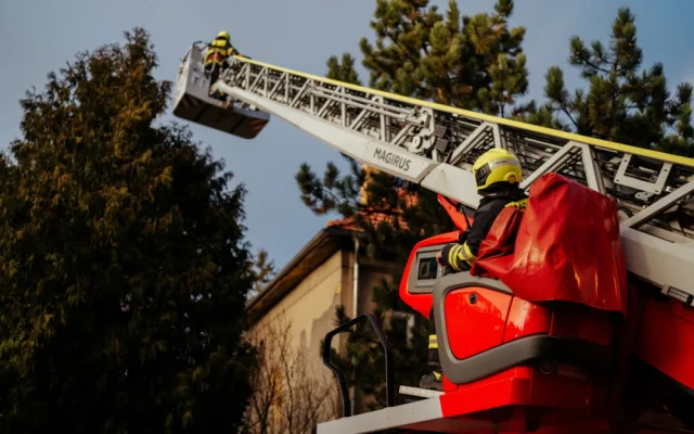 VIDEO: Zvířátko na víkend. Pražští hasiči zachránili kočku ze stromu