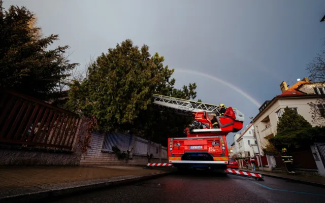 VIDEO: Zvířátko na víkend. Pražští hasiči zachránili kočku ze stromu