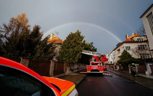 VIDEO: Zvířátko na víkend. Pražští hasiči zachránili kočku ze stromu