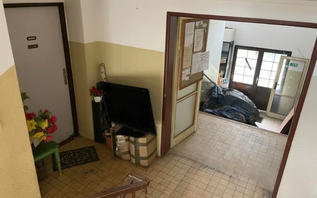 Žena chová v bytě čtrnáct psů, teď se má stěhovat. Smrad připomíná prasečák, líčí sousedka