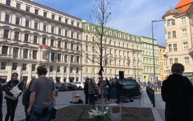 V Praze vysadili nový strom Olgy Havlové, připomíná oběti násilí na postižených