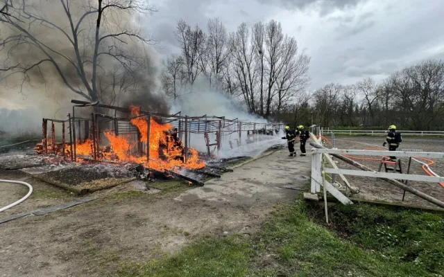 VIDEO: Stáje v Praze lehly popelem. Uhynuli v nich koně