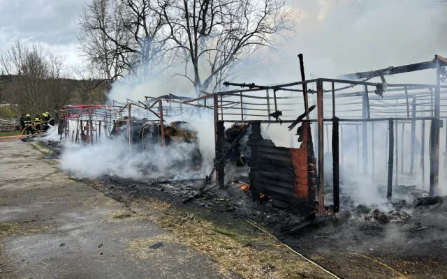 VIDEO: Stáje v Praze lehly popelem. Uhynuli v nich koně