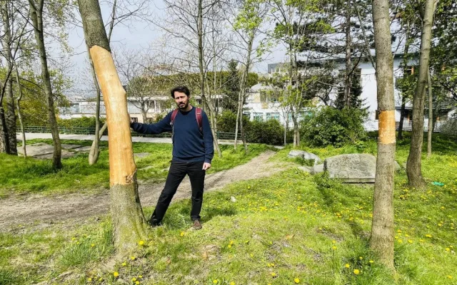 Vandal likviduje stromy na Žižkově. Strhává jim kůru