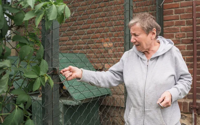 Pani Šeberová všude pečlivě zavírá a zamyká, aby kočky neutekly