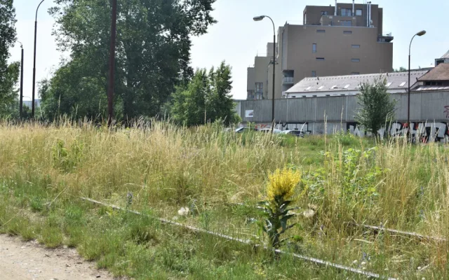 Sedmička začala se stavbou nového parku u Vltavy, stát bude skoro padesát milionů