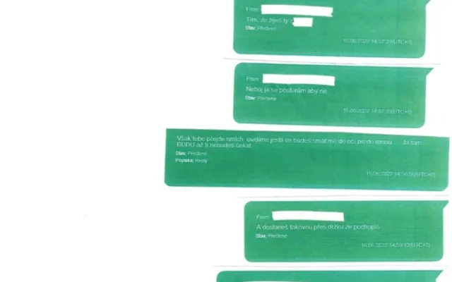 Mladík vyhledával přes TikTok chlapce. Policie ho obvinila z únosu a znásilnění