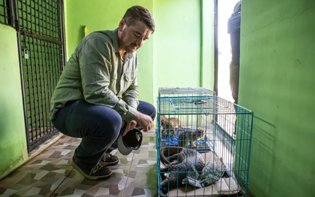 Češi chytají v Asii pašeráky a pytláky. Na kontě mají řadu úspěchů